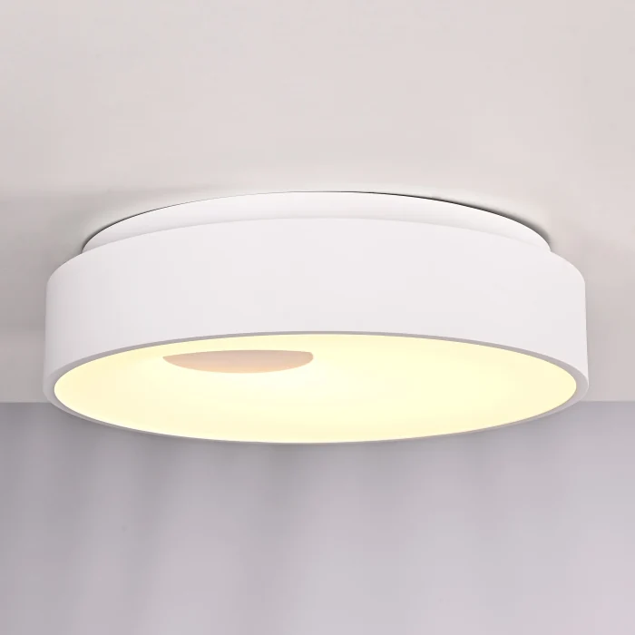 Потолочный светильник ECLA D45 ImperiumLoft