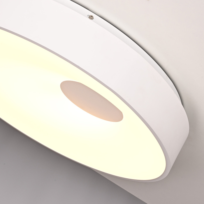 Потолочный светильник ECLA D45 ImperiumLoft