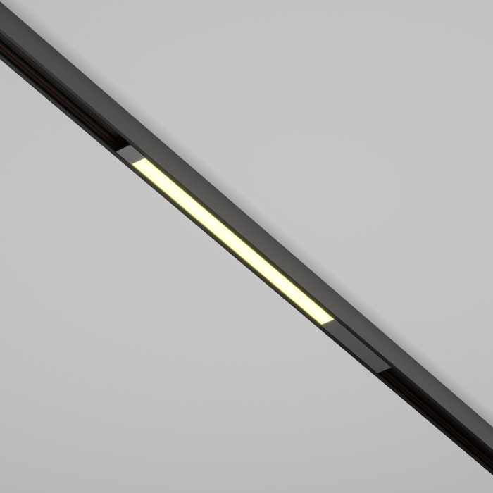 Трековый светильник Maytoni Basis TR231-2-10W3K-B