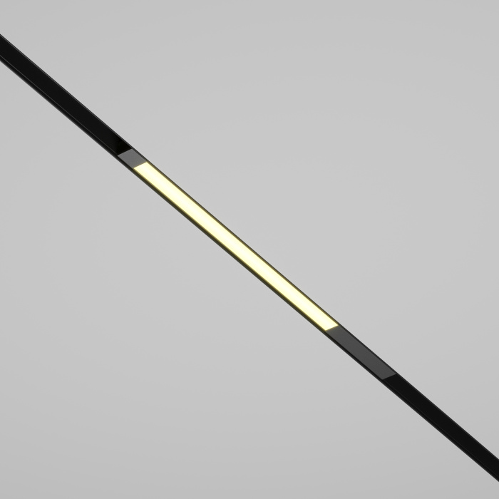 Трековый светильник Maytoni Basis TR231-2-10W3K-B