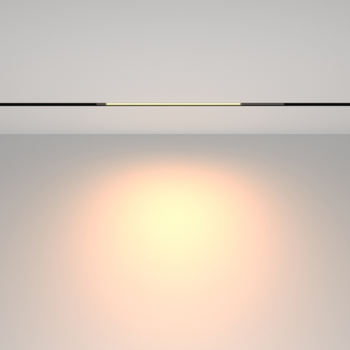 Трековый светильник Maytoni Basis TR231-2-10W3K-B