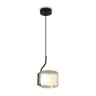 Подвесной светильник Freya Ice FR5541PL-L5B