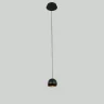 Подвесной светильник Delight Collection MD21001034 MD21001034-1A black/gold