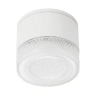 Уличный потолочный светильник Arte Lamp PIAUTOS A1926PF-1WH