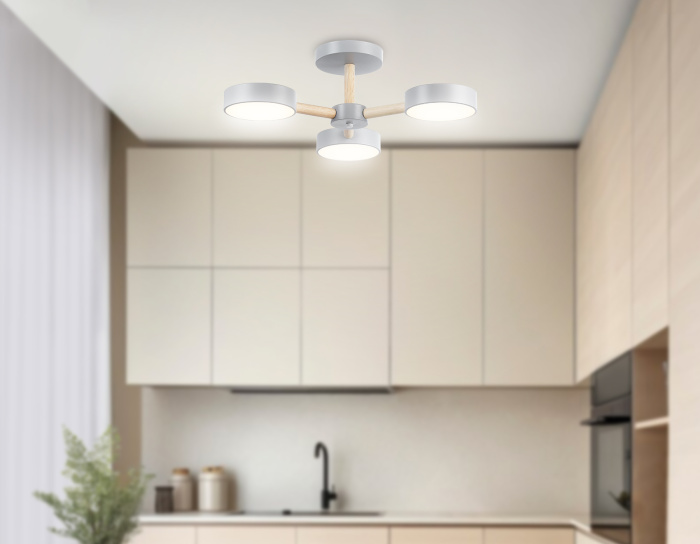 Потолочный светодиодный светильник с пультом Ambrella light FL4822