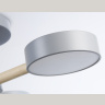 Потолочный светодиодный светильник с пультом Ambrella light FL4822