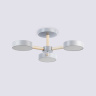 Потолочный светодиодный светильник с пультом Ambrella light FL4822