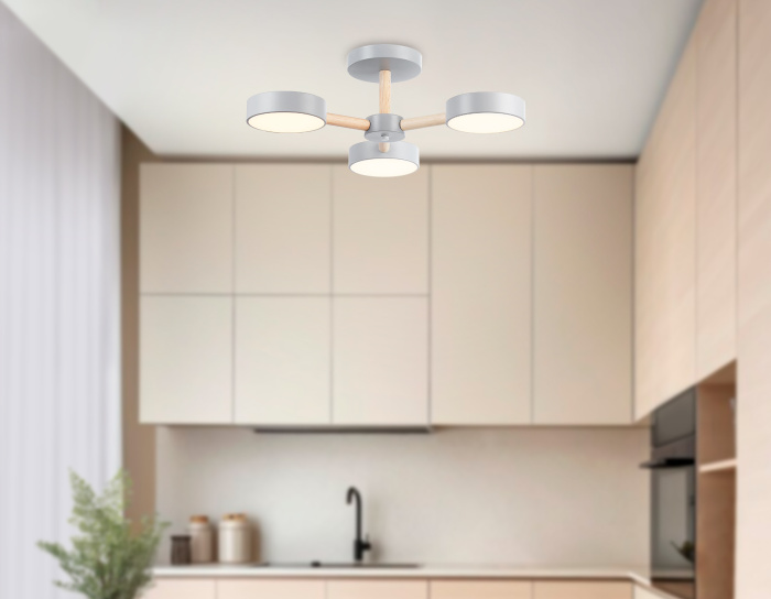 Потолочный светодиодный светильник с пультом Ambrella light FL4822