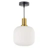 Люстра подвесная Arti Lampadari Delebio E 1.P1 W