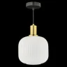 Люстра подвесная Arti Lampadari Delebio E 1.P1 W