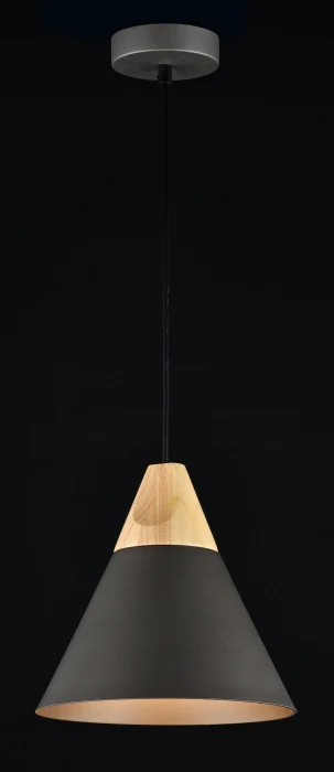 Подвесной светильник Maytoni P359-PL-220-C