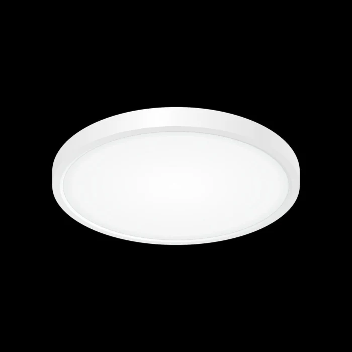 Светильник потолочный Citilux Бейсик CL738240V