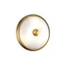 Настенно-потолочный светильник Odeon Light Pelow 4956/2