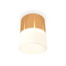 Комплект накладного светильника с акрилом Ambrella light XS8121011