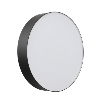 Настенно-потолочный светильник СОНЕКС BASICA 7780/DLN