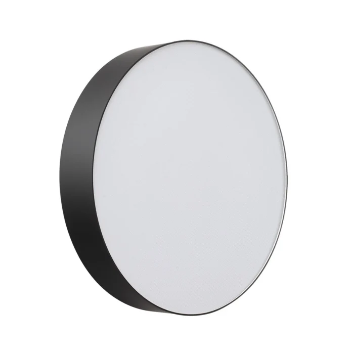 Настенно-потолочный светильник СОНЕКС BASICA 7780/DLN