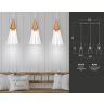 Подвесной светильник Ambrella light TR3669