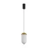 Подвесной светильник Freya Iride FR5627PL-L8BBS
