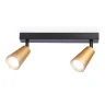 Накладной поворотный спот со сменной лампой GU10 Ambrella light TA13146