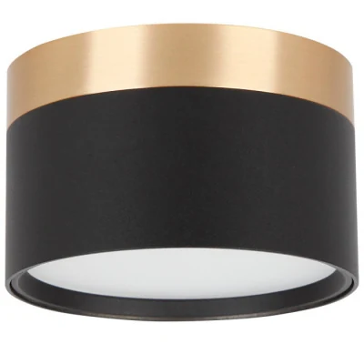 Светильник точечный накладной ALTAIR WERTMARK TECHNICAL WTA.O21.607.30.12