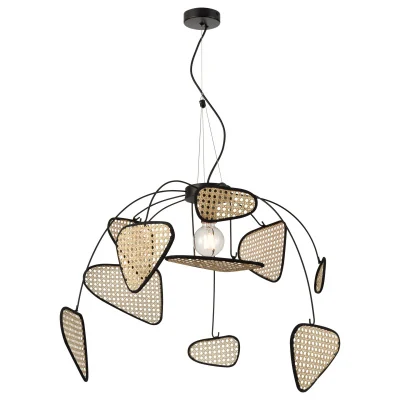 Подвесной светильник PALMA WE520.01.713 WERTMARK