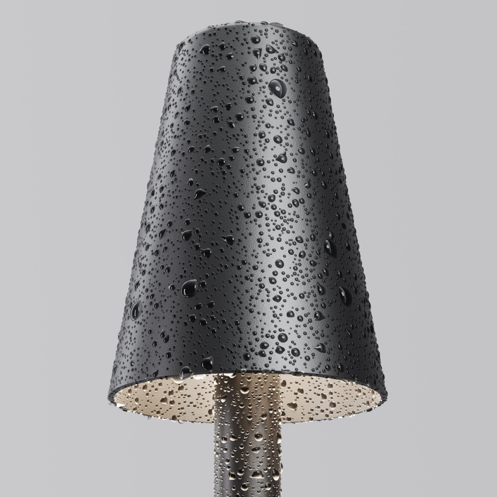 Ландшафтный светильник Maytoni Cane O504FL-L1B3K1