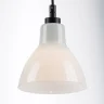 Светильник подвесной LOFT 1х40W E14 ЧЕРНЫЙ (в комплекте) 865017 (MD12018002-1A)