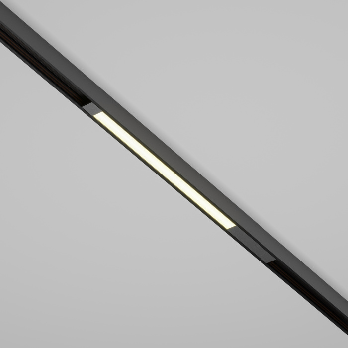 Трековый светильник Maytoni Basis TR231-2-10W4K-B