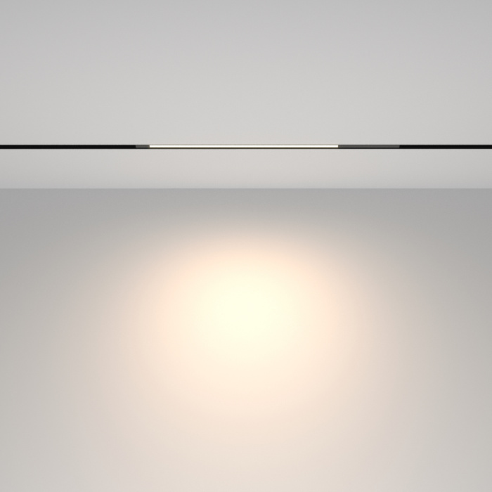 Трековый светильник Maytoni Basis TR231-2-10W4K-B