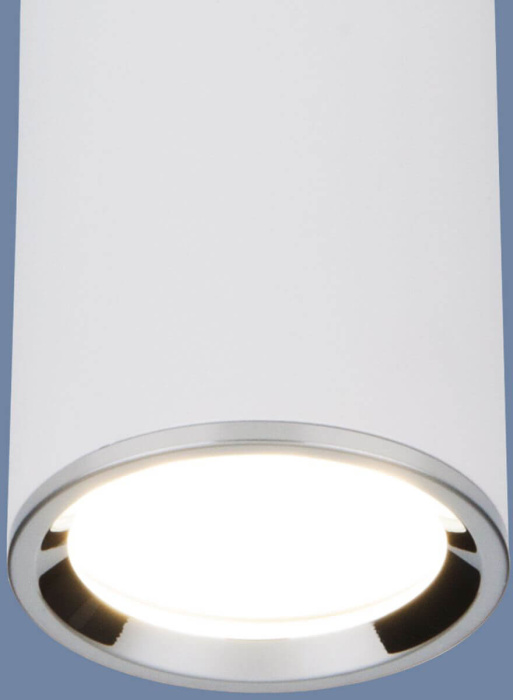 Потолочный светильник Elektrostandard Dln101 4690389135859