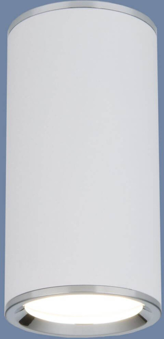 Потолочный светильник Elektrostandard Dln101 4690389135859