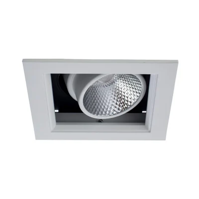 Встраиваемый светильник Arte Lamp CARDANI A1712PL-1WH