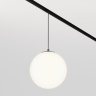 Трековый подвесной светильник Maytoni Luna TR039-2-5W4K