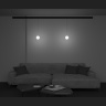 Трековый подвесной светильник Maytoni Luna TR039-2-5W4K
