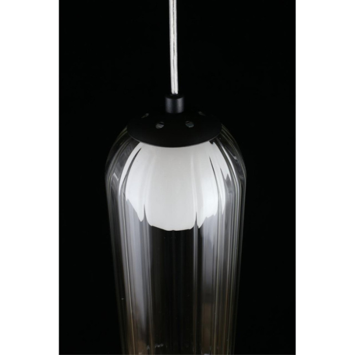 Светильник подвесной Aployt Arian APL.325.16.01