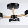 Потолочный светодиодный светильник с пультом Ambrella light FL4823