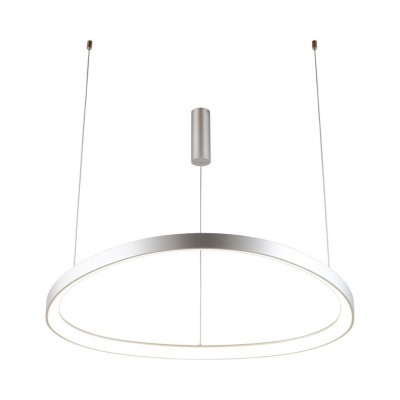 Подвесной светильник Aployt Zula APL.022.13.60