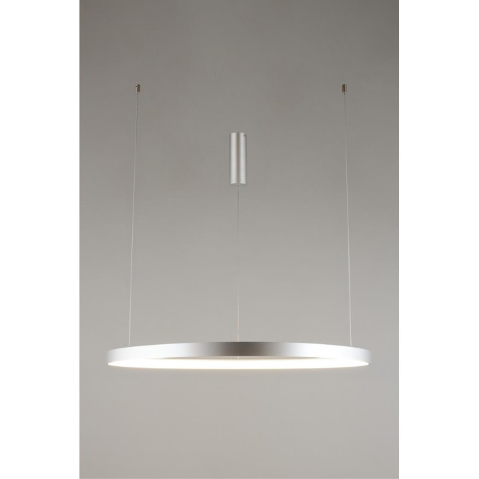 Подвесной светильник Aployt Zula APL.022.13.60