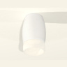 Комплект накладного светильника с акрилом Ambrella light XS1122024