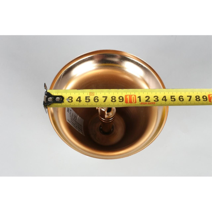 Люстра подвесная Aployt Alessio APL.858.03.31