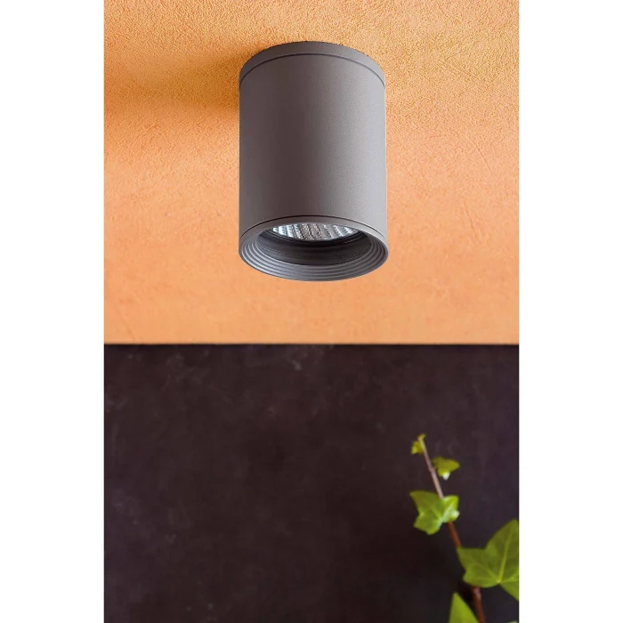 Настенный светильник TASA Dark grey ceiling lamp