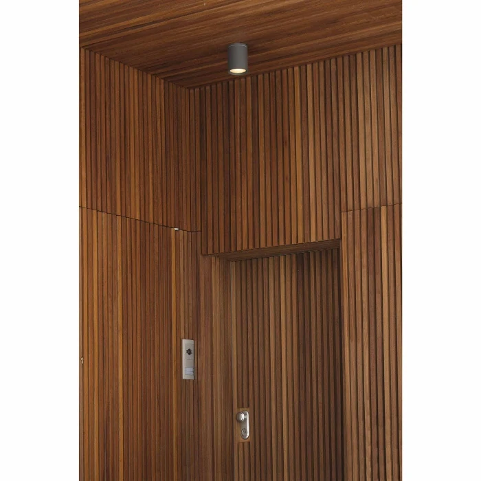 Настенный светильник TASA Dark grey ceiling lamp