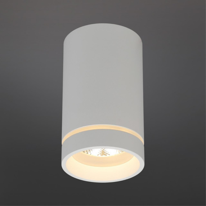 Светильник накладной Aployt Edda APL.0053.09.10