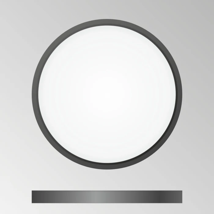 Светильник накладной Citilux Бейсик CL738241V