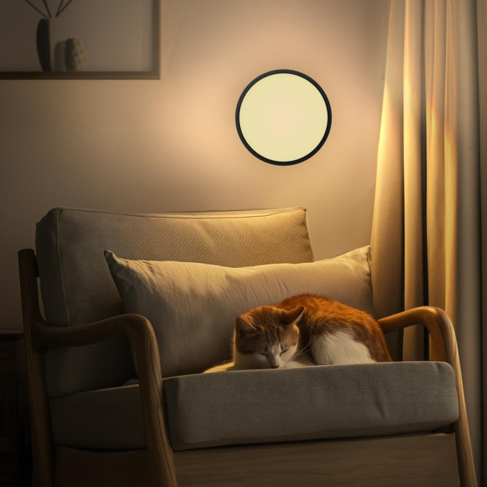 Светильник потолочный Citilux Бейсик CL738241V