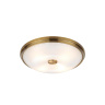 Настенно-потолочный светильник Odeon Light Pelow 4956/4