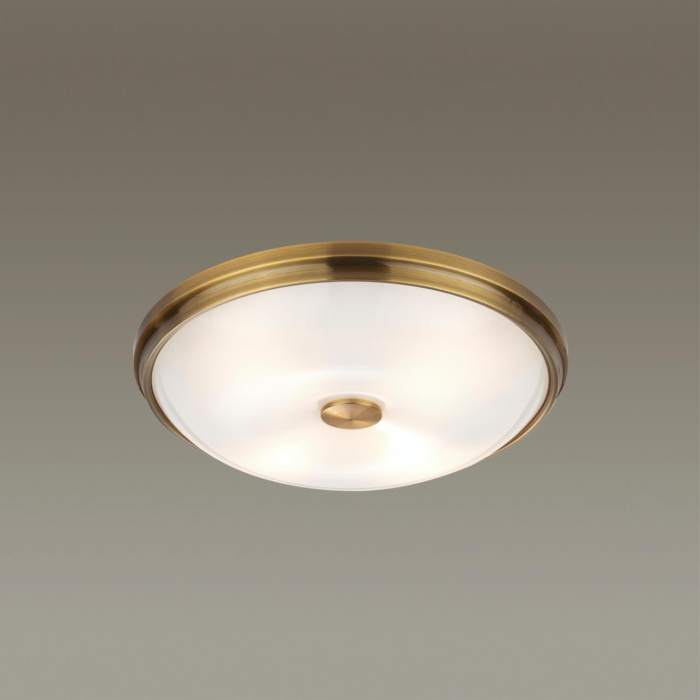 Настенно-потолочный светильник Odeon Light Pelow 4956/4