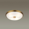 Настенно-потолочный светильник Odeon Light Pelow 4956/4