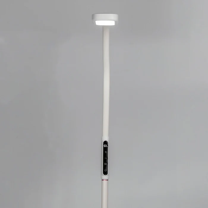 Торшер Citilux Марк CL804020