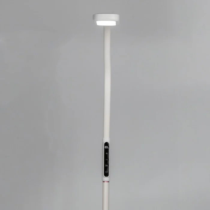 Торшер Citilux Марк CL804020